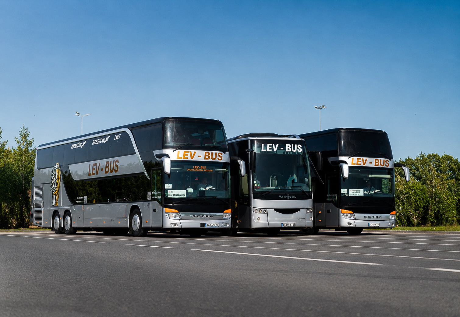 bus